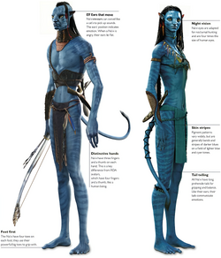 Navi Avatar Wiki Fandom